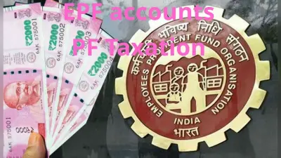 खुलासा! इस शख्स के पीएफ खाते में 103 करोड़ रुपये से भी अधिक जमा, जानिए कितने हैं कुल अकाउंट और कितने पैसे हैं जमा