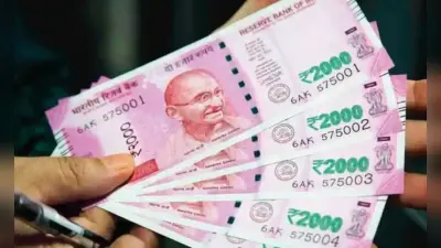 आज EPFO आपके EPF अकाउंट में जमा करेगा 8.5% ब्याज! अपना PF Balance उमंग ऐप्प, एसएमएस, मिस्ड कॉल से ऐसे करें चेक