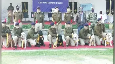 10 वर्षों तक देश सेवा में योगदान देने के बाद सीआईएसएफ के आठ कैनाइन सदस्यों को दी गयी सेवानिवृत्ति