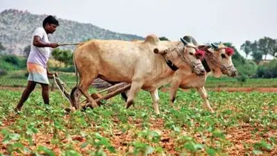 जरूरी है कृषि ऋण की आसान उपलब्धता