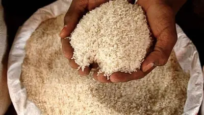 बिहार में बनेगा पोषक तत्वों से भरपूर फोर्टिफाइड चावल, सरकार द्वारा खरीदे गए धान से होगा उत्पादन