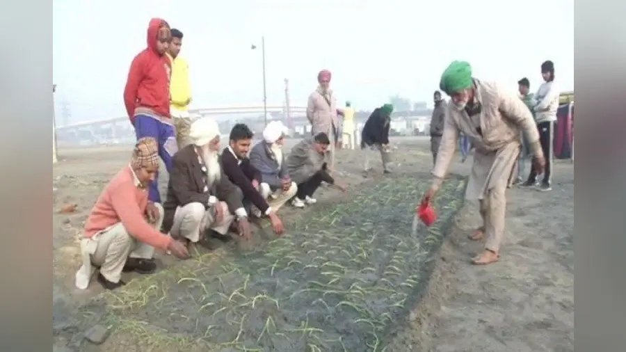 Kisan Andolan News: किसानों ने हाइवे को ही बनाया अपना घर, प्रदर्शन स्थल पर अब शुरू की खेती