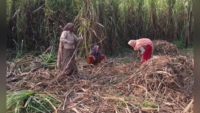 Punjab News: पंजाब के फिर सड़कों पर उतरे किसान, रेलवे ट्रैक किया जाम, सीएम मान ने दिया ये निर्देश
