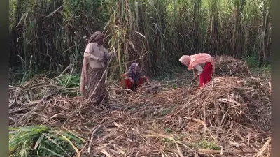 Punjab News: पंजाब के फिर सड़कों पर उतरे किसान, रेलवे ट्रैक किया जाम, सीएम मान ने दिया ये निर्देश