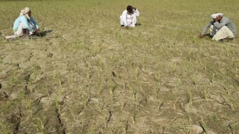 अनुदान से चल रही योजनाओं में किसानों की भागीदारी नहीं