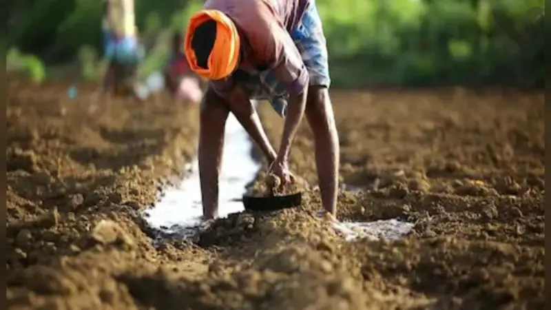 Kisan Samman Nidhi Yojana : किसान सम्मान निधि योजना में 20 लाख अयोग्य लोगों को मिले 1,364 करोड़ रुपये
