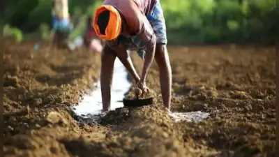Kisan Samman Nidhi Yojana : किसान सम्मान निधि योजना में 20 लाख अयोग्य लोगों को मिले 1,364 करोड़ रुपये