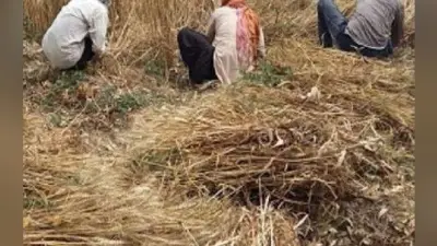 हजारीबाग में तीन किसान हुए ठगी का शिकार, जिला कृषि पदाधिकारी बन किया था फोन