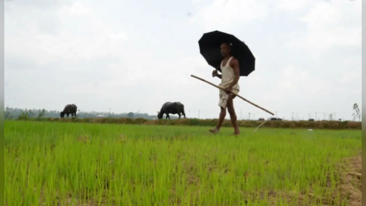 PMKSN Yojana : खेती करने वाला हर आदमी सालाना 6,000 रुपये का नहीं पा सकता लाभ, उसके लिए जरूरी है यह शर्त