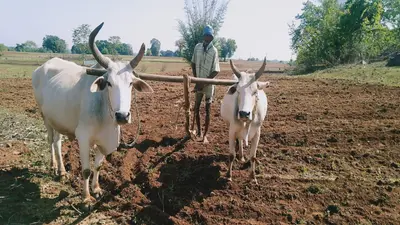 किसानों की सहायता