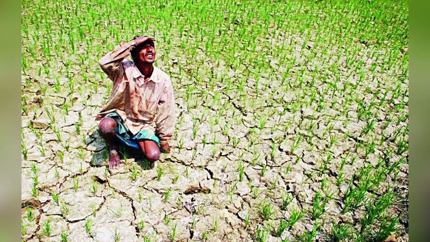 सूखे ने बढ़ायी दुनिया की चिंता, कैसी है भारत की स्थिति, पढ़ें यहां