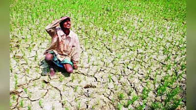 सूखे ने बढ़ायी दुनिया की चिंता, कैसी है भारत की स्थिति, पढ़ें यहां