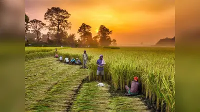 सामाजिक चेतना से बढ़ेगी आत्मनिर्भरता
