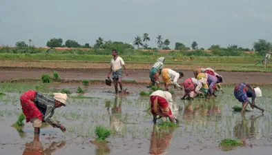किसानों को हर वर्ष झेलनी पड़ती है प्रकृति की मार