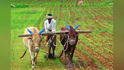 अन्नदाताओं के हितों की रक्षा जरूरी