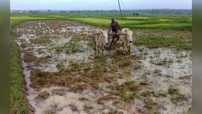 स्वस्थ कृषि पर जोर