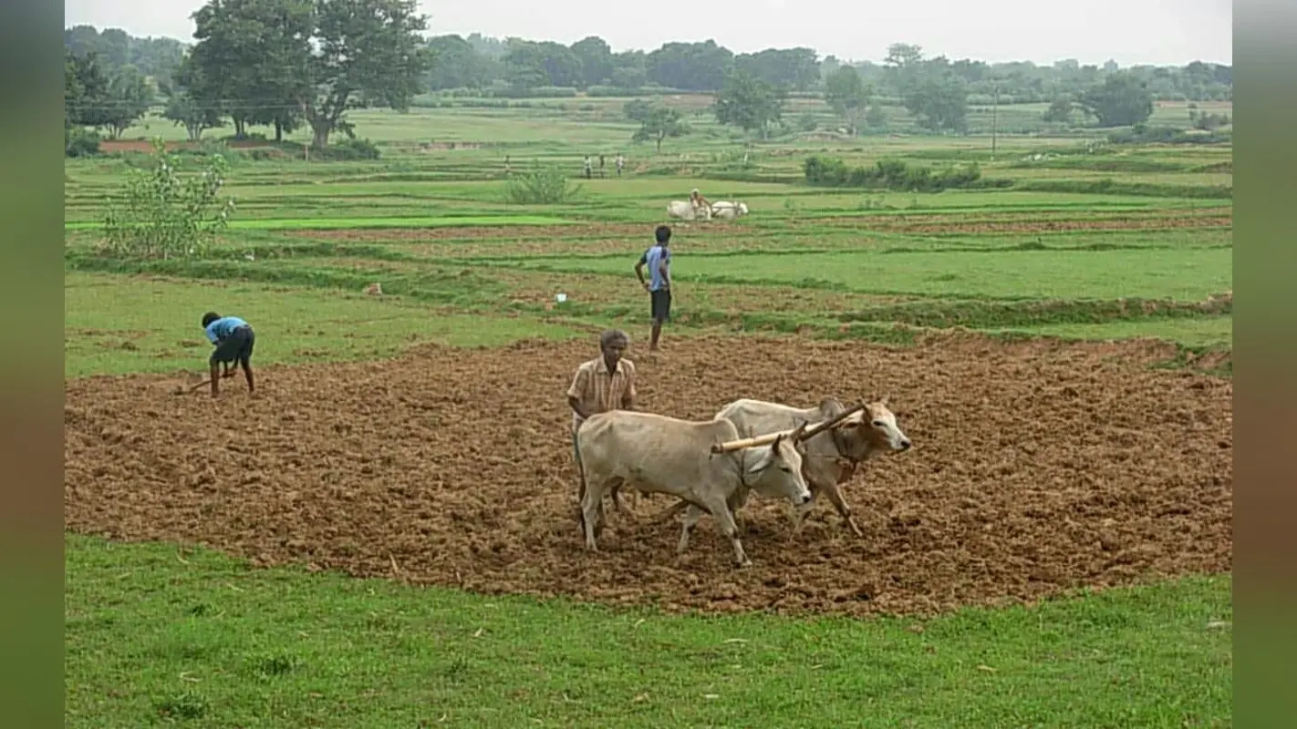 झारखंड : गढ़वा में किसानों को केसीसी लोन देने से कतराने लगे हैं बैंक, जानें कारण