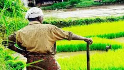 पीएम किसान निधि के रूप में बिहार के 83.53 लाख किसानों को मिलेगा नये साल का तोहफा