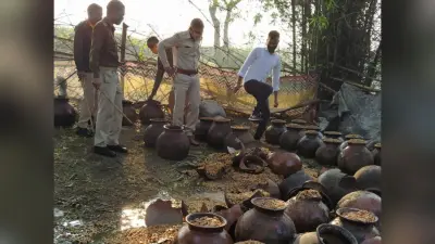 रजरप्पा में पुलिस ने अवैध शराब व महुआ भट्ठी को किया ध्वस्त, दर्जनों घड़े में तैयार किया गया था जावा महुआ