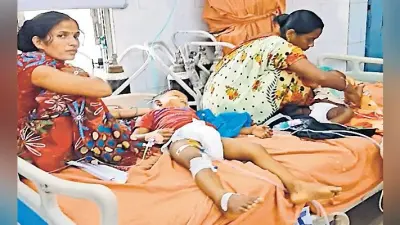 बारिश की बूंदें पड़ी तो जगी माताओं की उम्मीद, पीकू वार्ड में नहीं आया एईएस पीड़ित एक भी बच्चा