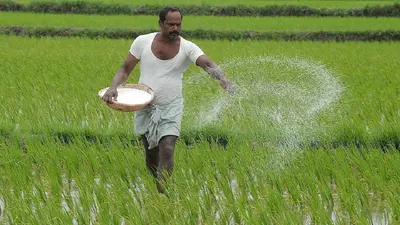बिहार में फर्टिलाइजर बेचने के लिए जरूरी होगा केमिस्ट्री में स्नातक, अभी ऑनलाइन मिल जाता है लाइसेंस
