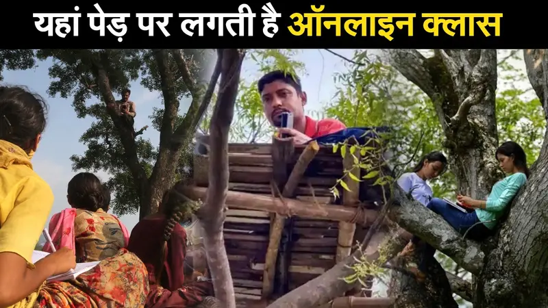 यहां पेड़ पर लगती है ऑनलाइन क्लास