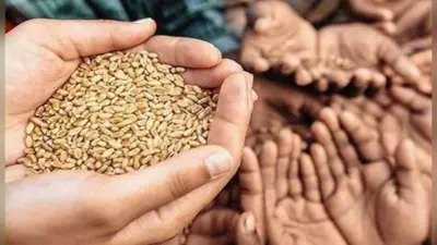 Kolkata News : अब पर्ची पर होगा चावल-गेहूं पर सरकार का कितना खर्च