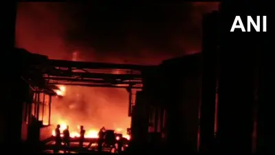 Andhra Pradesh Explosion: एलुरु के केमिकल फैक्ट्री में धमाके के बाद लगी भीषण आग, 6 की मौत, मुआवजे का ऐलान