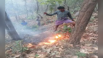 झारखंड: झुमरा के जंगलों में लगी भीषण आग, गुफा ने निकले भालू, ग्रामीणों से भागकर बचायी जान
