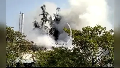 श्यामनगर में बैटरी फैक्ट्री के गोदाम में लगी भीषण आग, दमकल की तीन गाड़ियां पहुंचीं