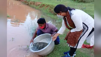 सारण में 43 फीसदी कम बारिश के कारण कई चौर-तालाब सूखे, मछली उत्पादन का लक्ष्य पाना हुआ मुश्किल