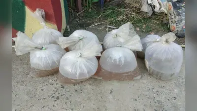 मवेशियों के पेट से मछली के अंडों की स्मगलिंग, जानवरों की लाश का हो रहा इस्तेमाल
