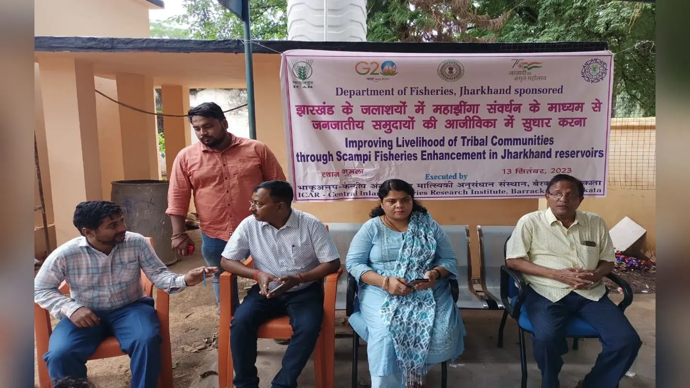 झारखंड : गुमला, सिमडेगा व हजारीबाग जिले में होगा महाझींगा मछली का पालन, एससी-एसटी मत्स्य पालकों को मिलेगा लाभ