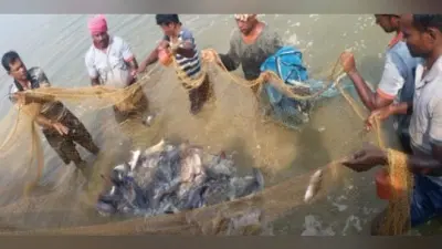 बिहार के मत्स्य पालकों को मिलेंगे अब उन्नत किस्म के मत्स्य बीज