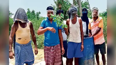 झारखंड में मक्खियों आतंक, 100 से अधिक गांवों के लोग परेशान, खौफ इतना कि मच्छरदानी का टुकड़ा बांध घूम रहे लोग