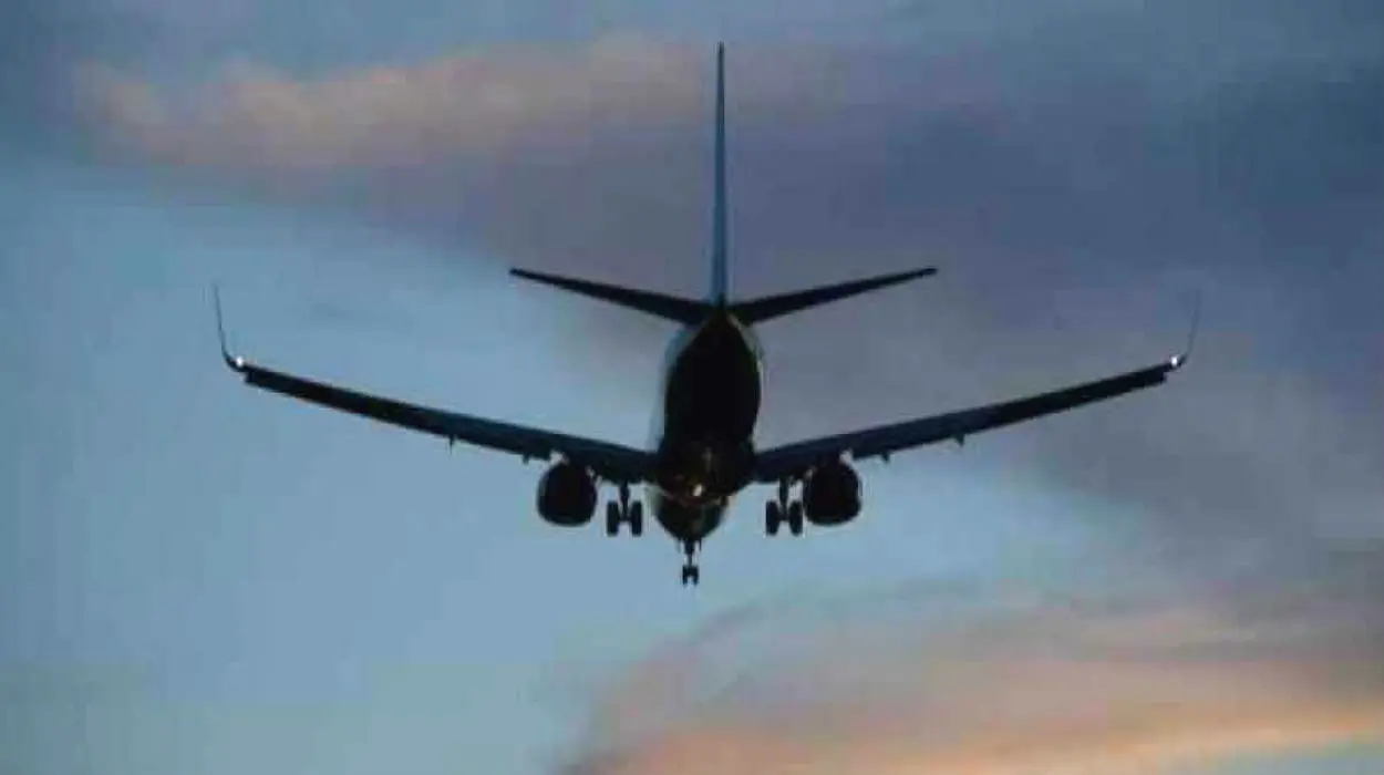 11000 फुट की ऊंचाई पर उड़ रहा था विमान, अचानक सामने आ गया कोबरा, पायलट ने किया यह काम