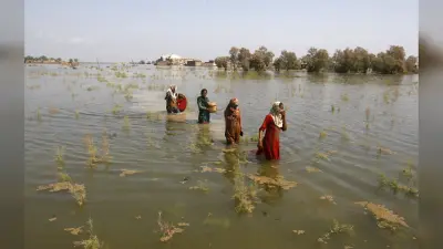 Pakistan Flood : 416 बच्चे एवं 244 महिलाओं सहित 1200 की मौत, बाढ़ का वीडियो देख सहम जाएंगे आप