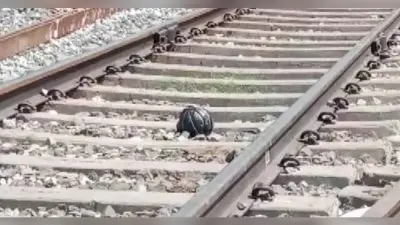 बिहार के गुरारू रेलवे स्टेशन के पास मिला बम, पौने चार घंटे तक ट्रेनों का आवागमन रहा बाधित