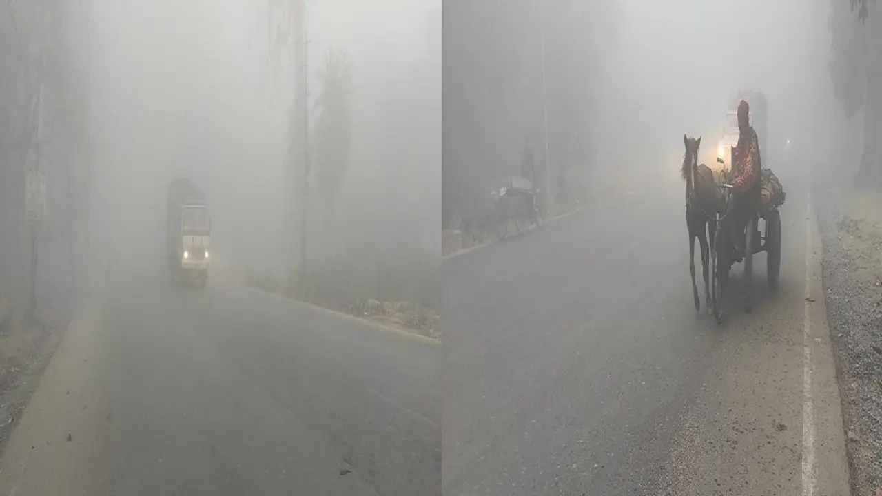 Bihar Weather Report: भागलपुर में हाड़ कंपाने वाली ठंड, 6 डिग्री तक पहुंचा पारा, कोहरे में लिपटे कई इलाके