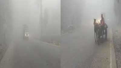 Bihar Weather Report: भागलपुर में हाड़ कंपाने वाली ठंड, 6 डिग्री तक पहुंचा पारा, कोहरे में लिपटे कई इलाके