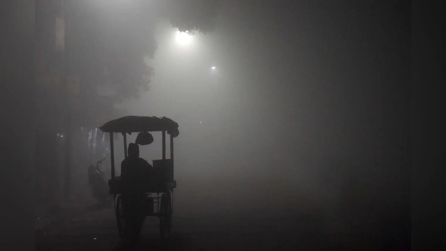 PHOTOS: घने कोहरे की चादर में लिपटा झारखंड का पलामू, शीतलहरी से घरों में दुबके लोग