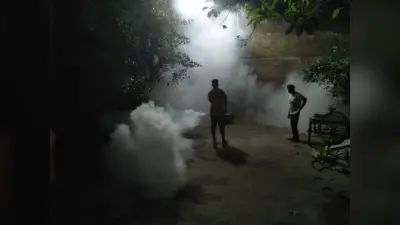 देवघर में डेंगू व चिकुनगुनिया का बढ़ा प्रकोप, नगर निगम में नहीं है फॉगिंग की व्यवस्था, कई वार्डों ने की शिकायत