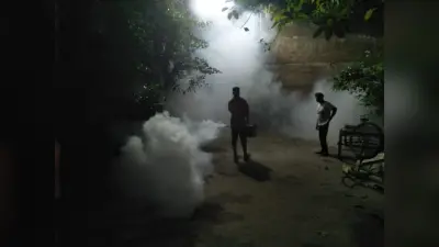 Kanpur में जीका वायरस के बढ़ रहे केस, बीते 24 घंटे में मिले 56 नए मरीज, जिला प्रशासन अलर्ट