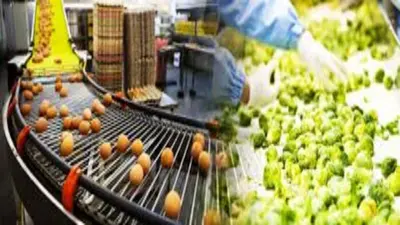 World Food Safety Day 2024 : फूड प्रोसेसिंग में बनाएं भविष्य की राहें