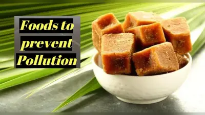 National Pollution Control Day 2021: प्रदूषण से बचाव करना चाहते हैं तो अपनी डाइट में करें बदलाव