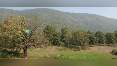 झारखंड की ये आदिवासी महिलाएं बचा रही हैं जंगल, दिन-रात करती हैं पहरेदारी, एक को मिल चुका है पद्मश्री