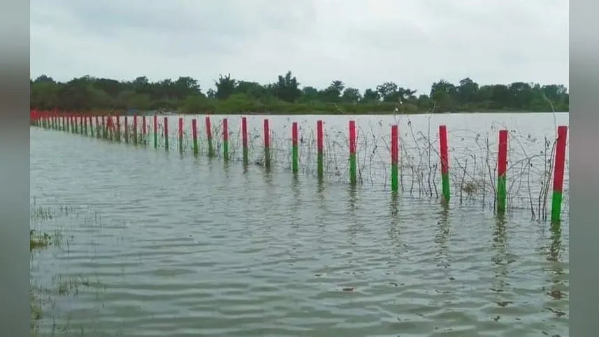 वन विभाग की लापरवाही से रांची में भारी बारिश में डूब गये 3100 पौधे, 72वें वन महोत्सव का CM से कराया था उद्घाटन