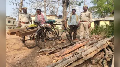 झारखंड: तस्करों के खिलाफ वन विभाग की छापामारी तेज, करीब एक लाख की लकड़ी जब्त, 4 आरोपियों को जेल