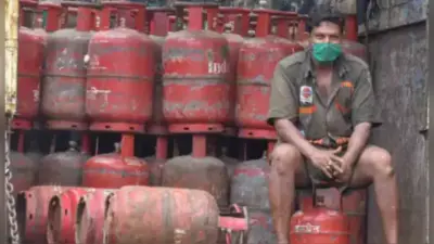 LPG Price : कम होगी रसोई गैस की कीमत ? एलपीजी सब्सिडी को लेकर जान लें खास बात