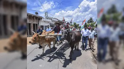 Petrol Diesel Price: चूल्हे पर खाना बनाकर, बैलगाड़ी चलाकर तृणमूल ने किया मोदी सरकार के खिलाफ प्रदर्शन